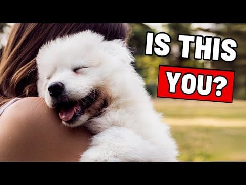 12 Unmistakable Signs That You Are a GREAT Dog Owner (Your Dog Secretly Thanks You!) thumbnail