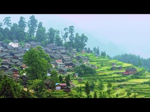 Documentary 'Farewell to Poverty' shows the road to zero poverty thumbnail