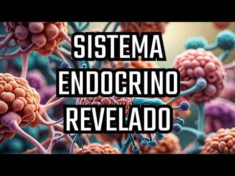 El Cuerpo Humano: El Sistema Endocrino, El Director Oculto de Tus Hormonas y Salud |Documental Épico thumbnail