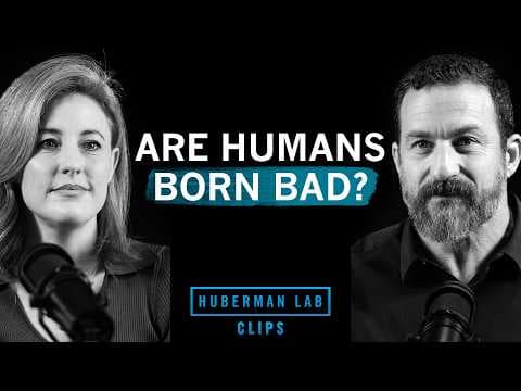 How Genes Impact Your Moral Decision Making | Dr. Kathryn Paige Harden & Dr. Andrew Huberman thumbnail