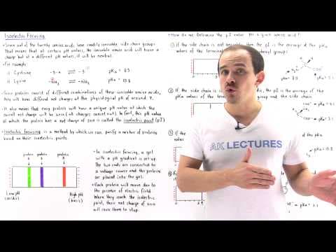 Isoelectric Focusing and Isoelectric Point thumbnail