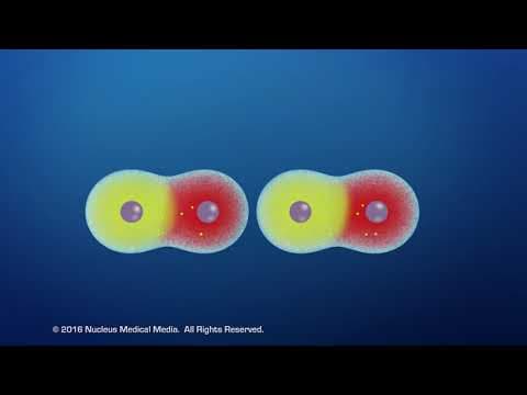 Van der Waals Forces thumbnail