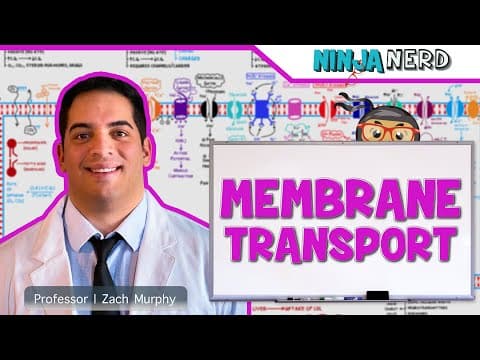 How Do Cells Transport Materials Across Membranes? thumbnail