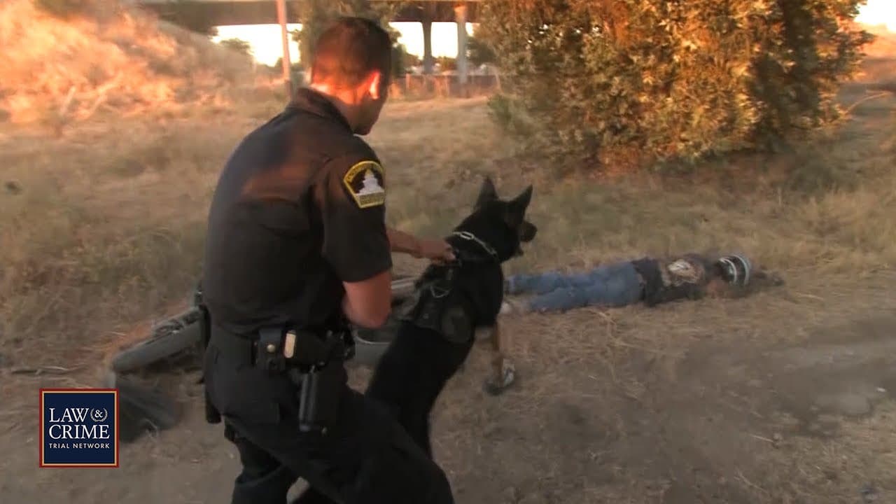 25 Wildest Police Moments Caught on Camera — The Ultimate Collection ...