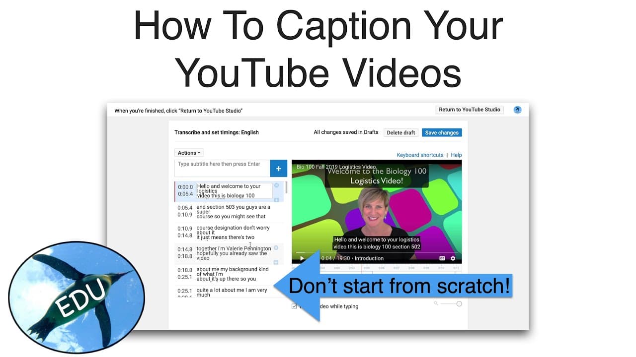 YouTube video player