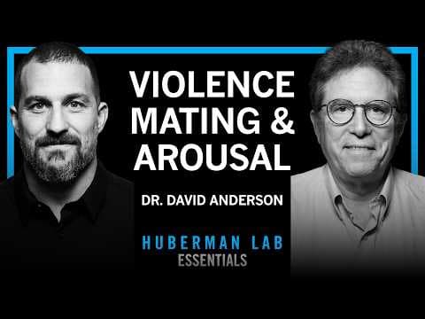 Essentials: The Biology of Aggression, Mating & Arousal | Dr. David Anderson thumbnail
