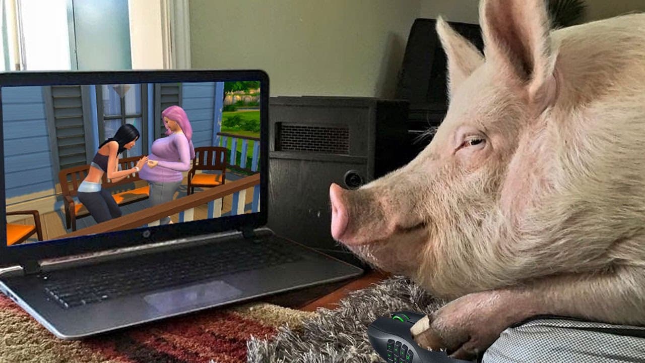YouTube video player