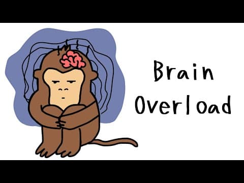 Monkey Resets Brain Daily: The Reset Button for Mental Clarity FAST thumbnail