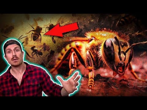 IF you can watch till the end… you won’t regret it (*DISTRESSING CONTENT*) thumbnail