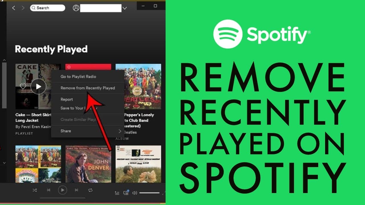 YouTube video player