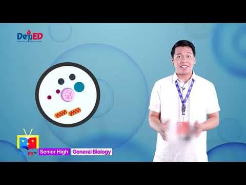 SHS GENERAL BIOLOGY Q1 Ep1: The Cell Cycle thumbnail
