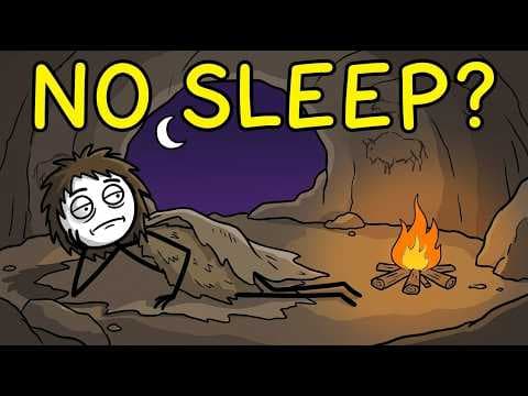 How Did Ancient Humans Survive the Night? thumbnail