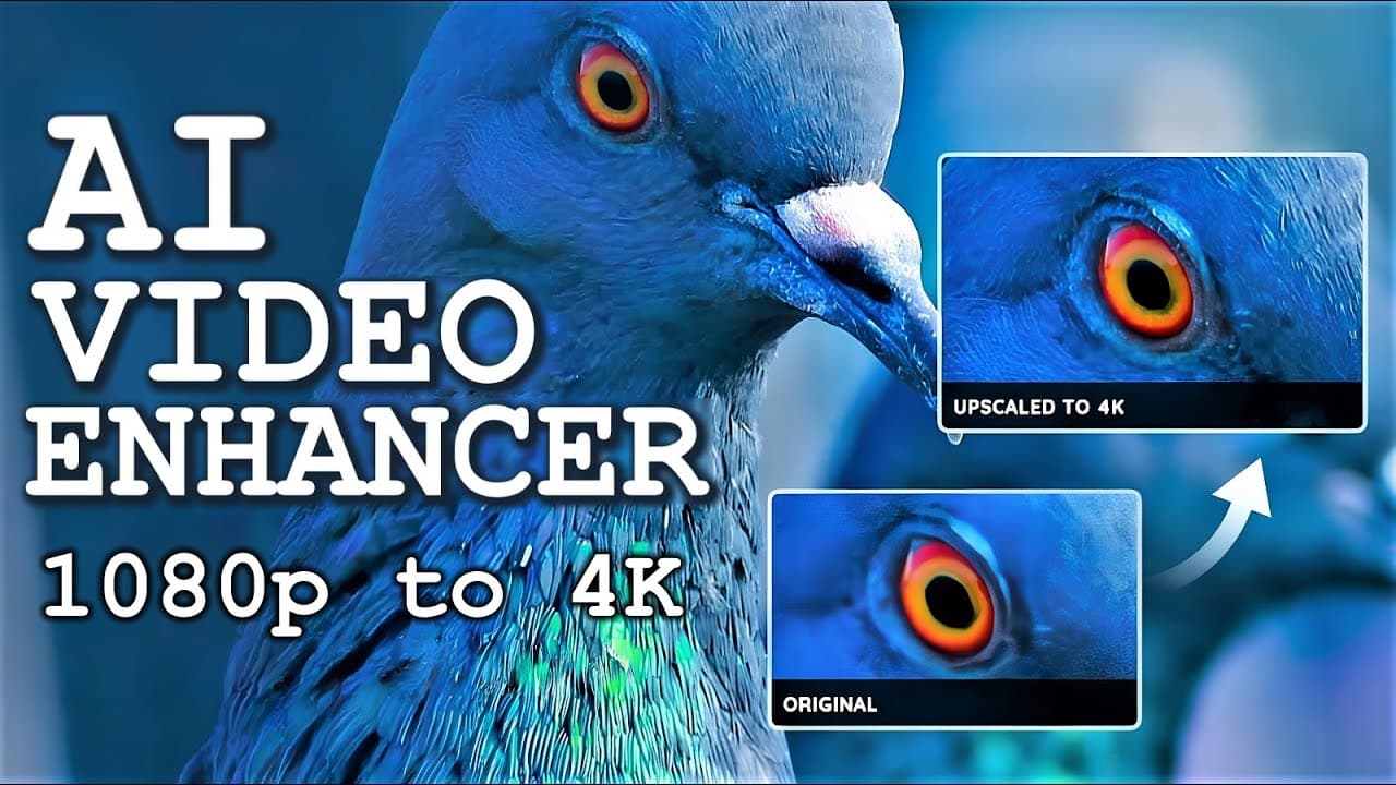YouTube video player