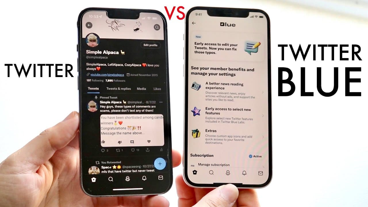 YouTube video player