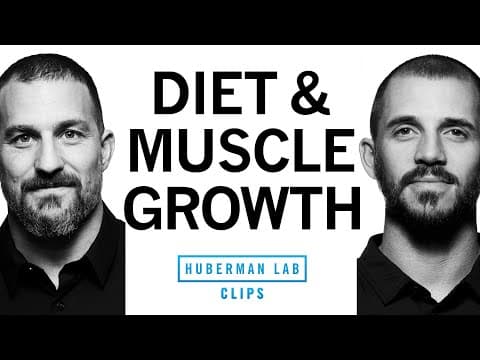 What Is the Best Diet for Muscle Growth? thumbnail