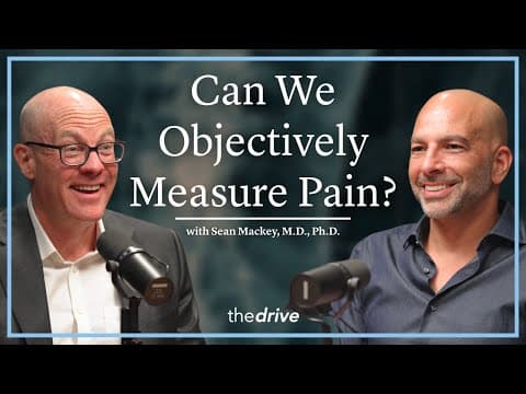 Can We Objectively Measure Pain?  | Sean Mackey, M.D., Ph.D. thumbnail