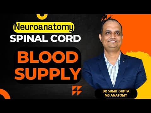 SPINAL CORD : BLOOD SUPPLY thumbnail