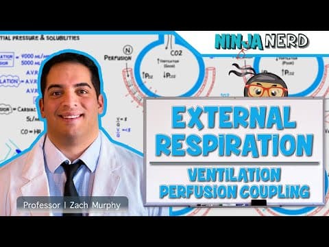 How Does Ventilation-Perfusion Coupling Work? thumbnail