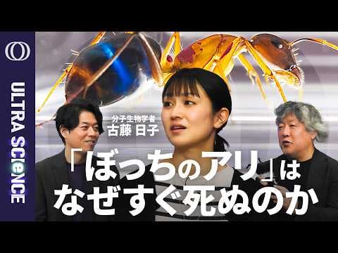 孤立したアリはなぜ早死にするのかを解く方法 thumbnail