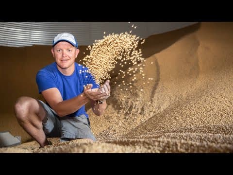 Why Are Grain Bins Essential for Farmers? thumbnail