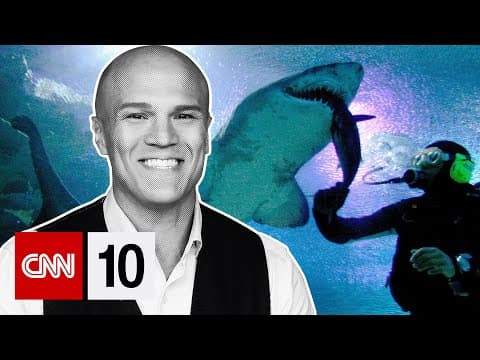 The courageous fight to save Albania's endangered sharks | November 4, 2025 thumbnail