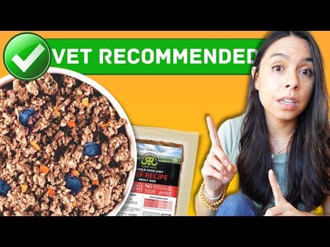 Best Dog Food on the Market?! 🐶 Founder Interview with Raised Right thumbnail