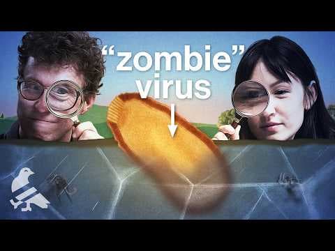 Did we just unfreeze a pandemic? thumbnail