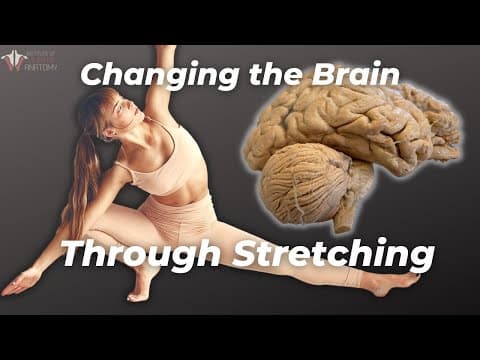 What Actually Happens When You Stretch? thumbnail