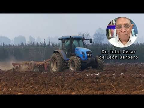 ¿Cómo afectan los subsidios a los precios agrícolas? thumbnail