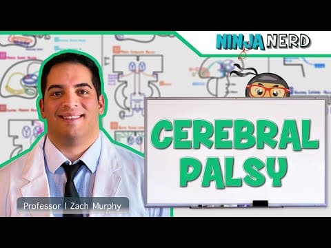 What Causes Cerebral Palsy and Its Main Types? thumbnail