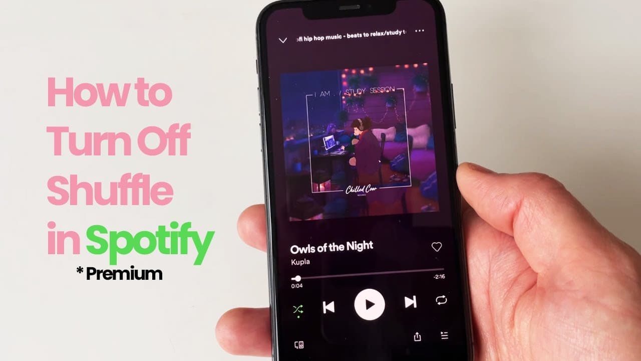 YouTube video player