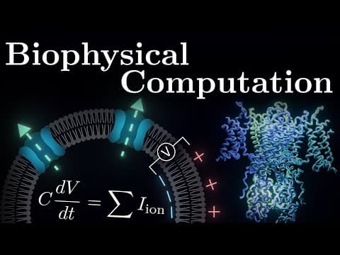 The Core Equation Of Neuroscience thumbnail