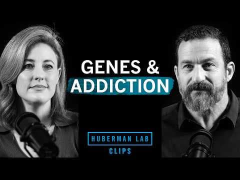 Understand Your Genetic Risk for Addiction | Dr. Kathryn Paige Harden and Dr. Andrew Huberman thumbnail