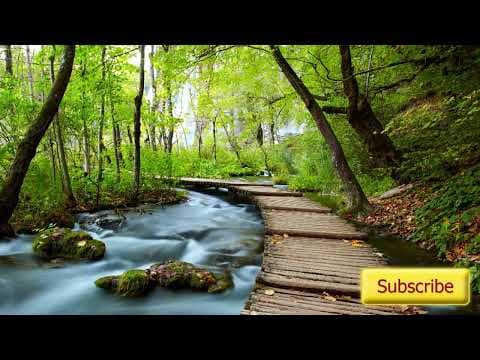 NSDR / Yoga Nidra: Journey through the Chakras with Kamini Desai thumbnail
