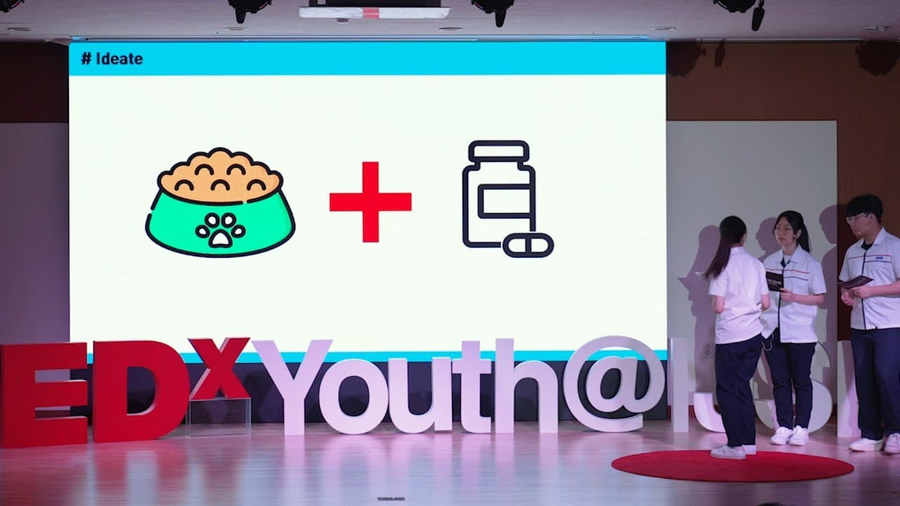 YouTube video player