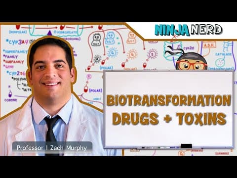 How Does the Liver Metabolize Drugs and Toxins? thumbnail