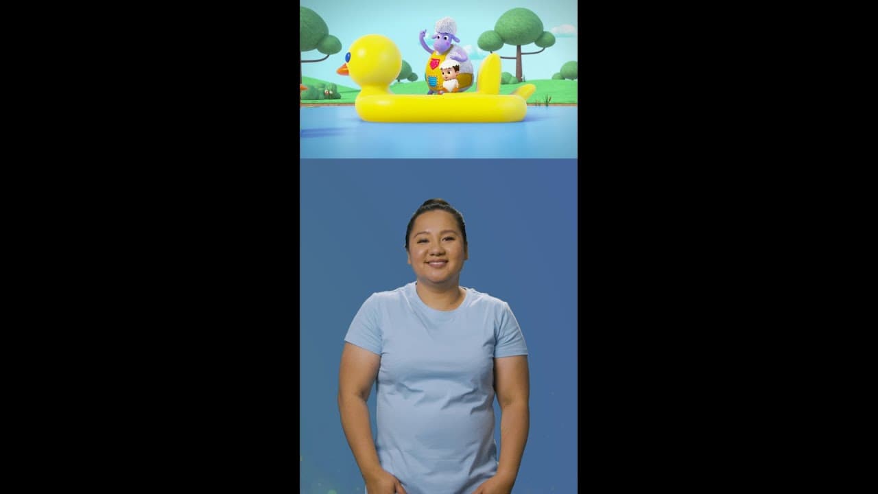 YouTube video player