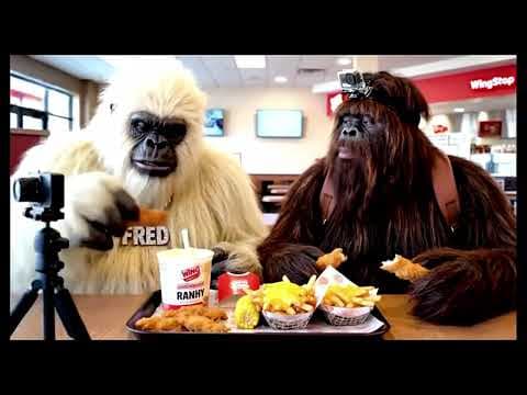 Bigfoot Vlogs - Compilation #3 thumbnail