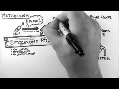 Pharmacokinetics 4 - Metabolism thumbnail