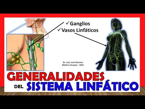 🥇 SISTEMA LINFÁTICO en 18 Minutos!! GENERALIDADES. ¡Fácil y Sencillo! thumbnail