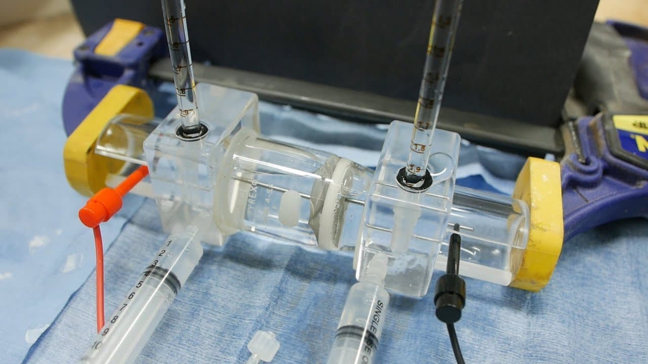 YouTube video player
