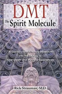 DMT by Rick Strassman