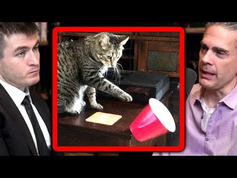 Life is a battle against destruction | Paul Conti and Lex Fridman thumbnail