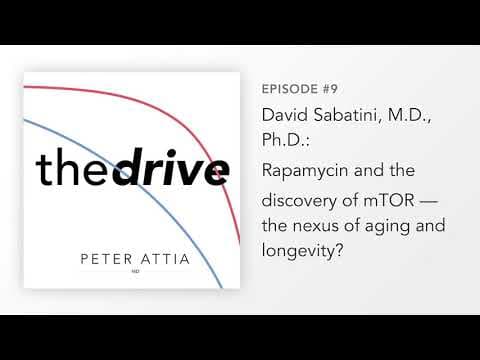 How Rapamycin Led to the Discovery of mTOR thumbnail