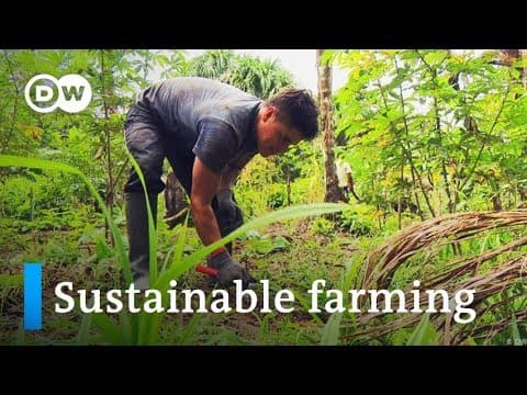 What Are Sustainable Farming Practices in the Amazon? thumbnail