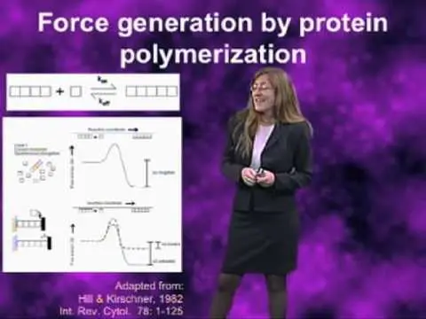 How Does Actin Polymerization Propel Cells? thumbnail