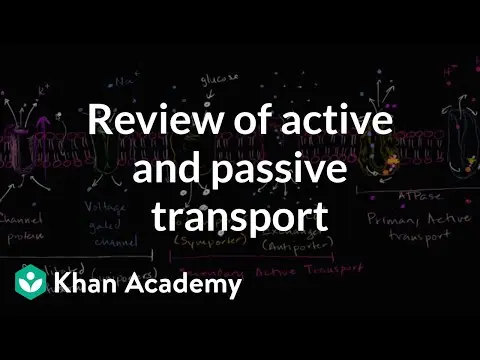 Uniporters, symporters and antiporters | Biology | Khan Academy thumbnail