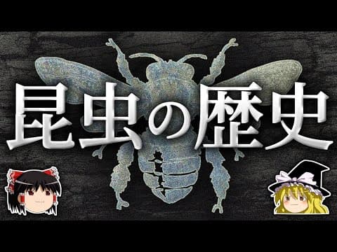 昆虫の繁栄と減少の理由とは? thumbnail