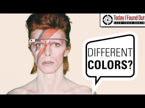 What was Up with David Bowie's Left Eye? thumbnail