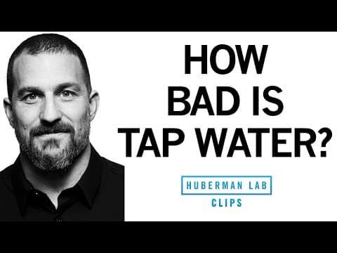 How Bad Is Tap Water for Health? | Dr. Andrew Huberman thumbnail